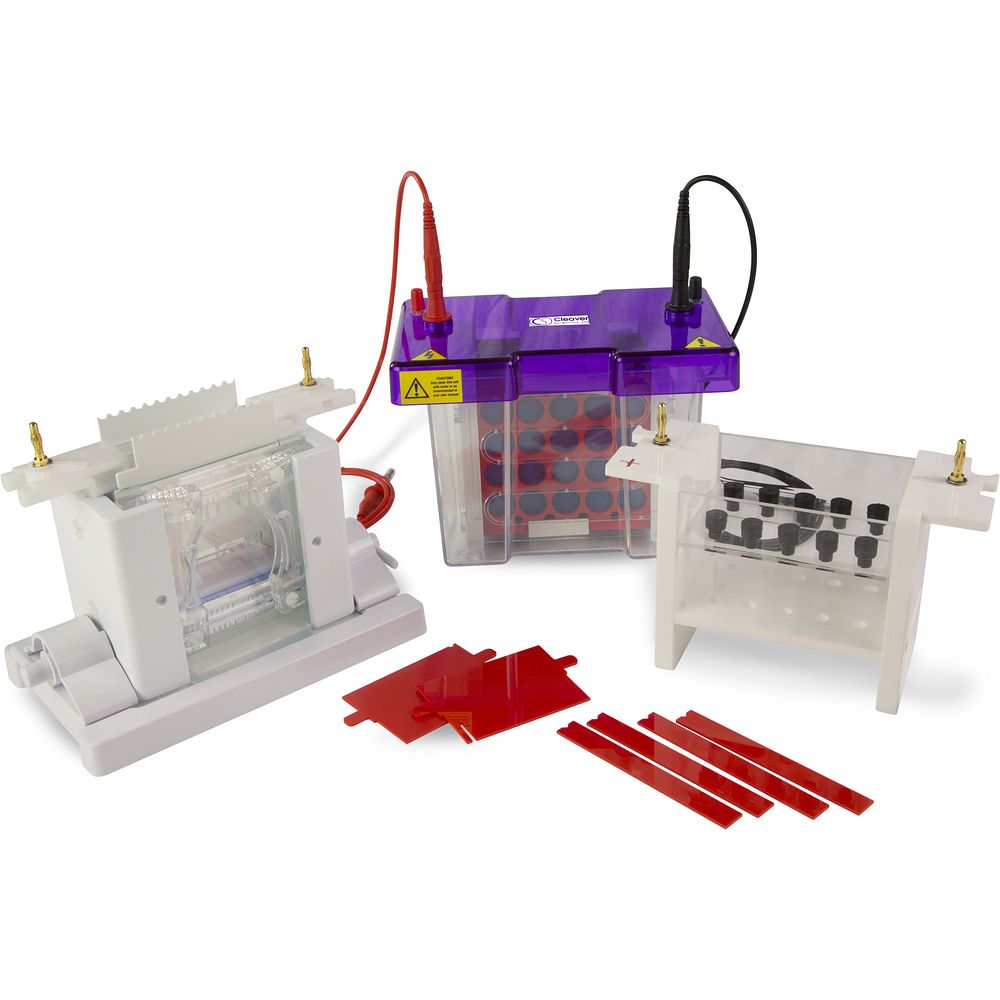 Cuves électrophorèse verticales modulaires gels 8&nbspx 8,5&nbspcm, jusqu'à 80 échantillons
