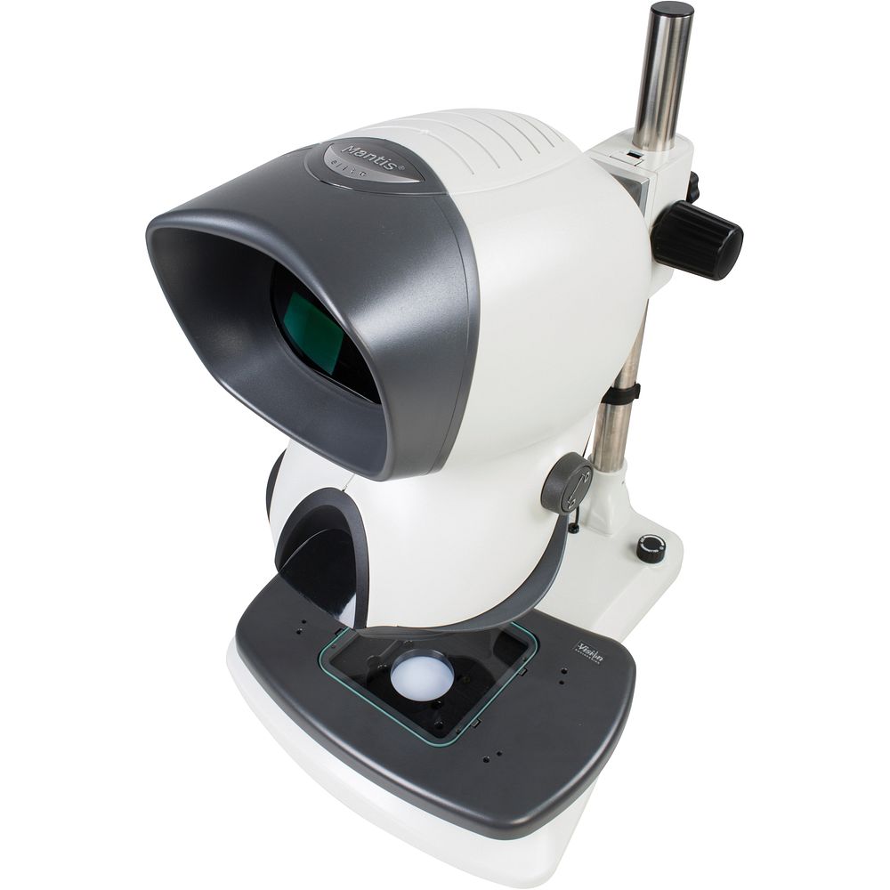 Stéréomicroscopes imagerie 3D 20x caméra numérique