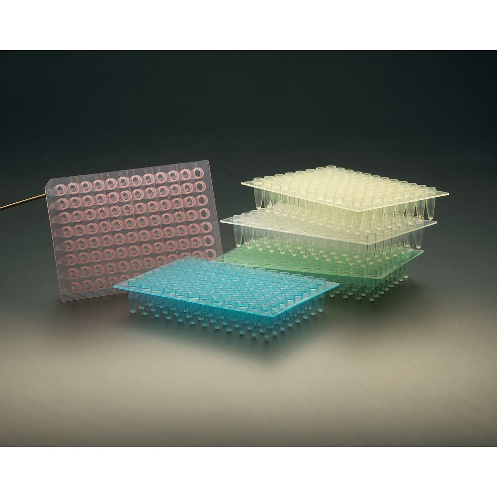 Microplaques PCR Amplate™ 96&nbsppuits avec ou sans jupe