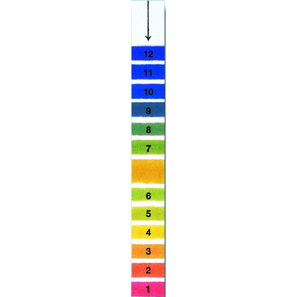 Papier pH en bandelettes (20)